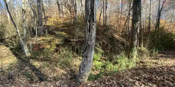 Mountain Side Lane
