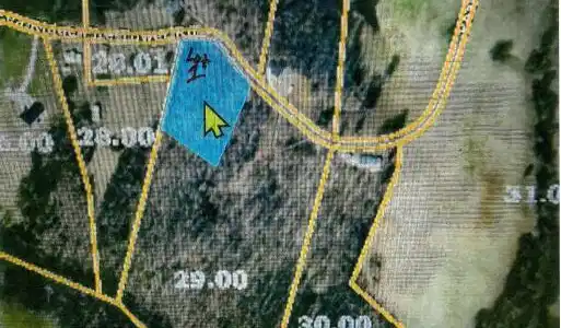Image 2: Aerial Map