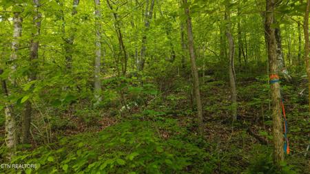 0 Avondale Hollow Rd