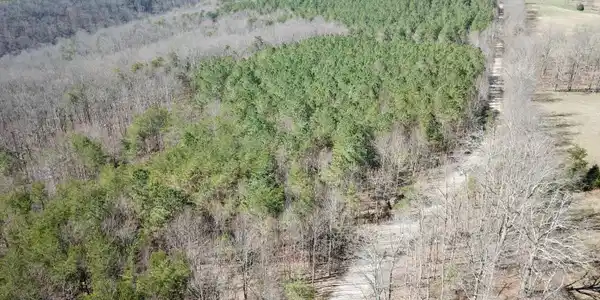 Image 2: DJI_0060