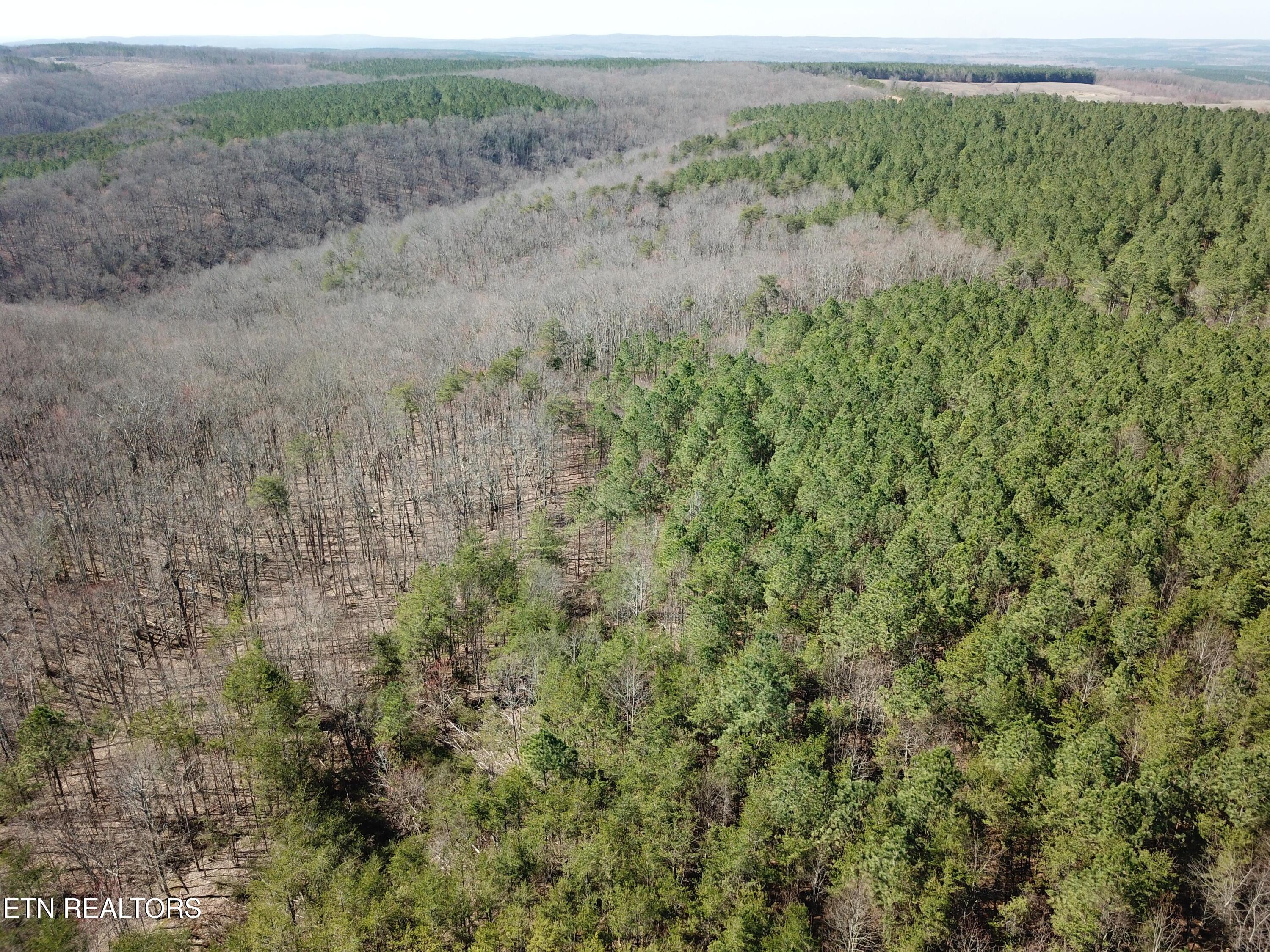 Image 3: DJI_0061