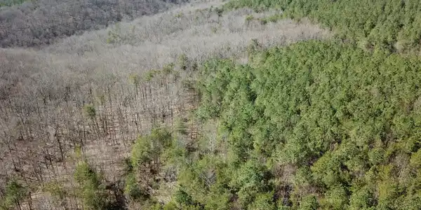 Image 3: DJI_0061