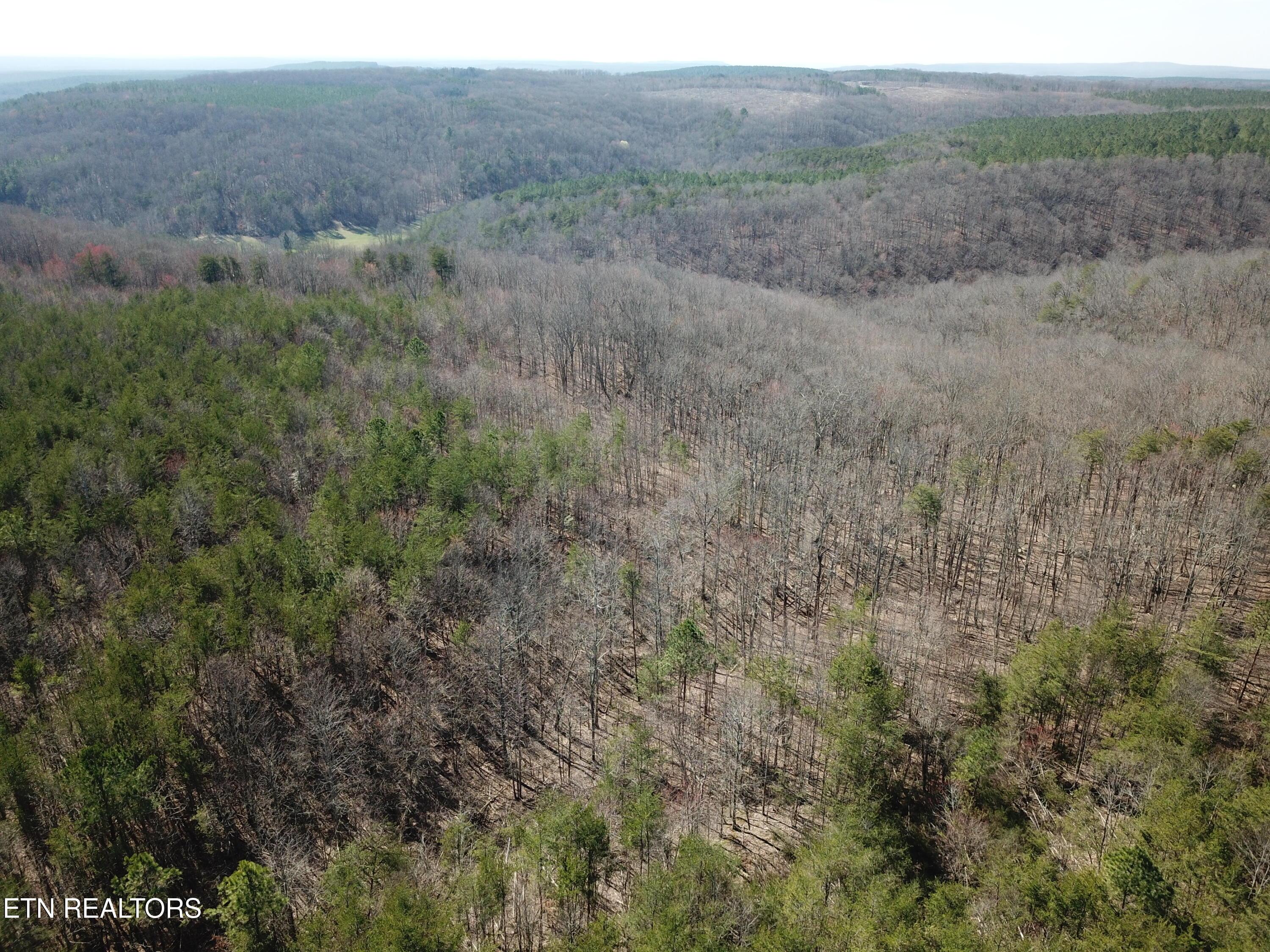Image 4: DJI_0062