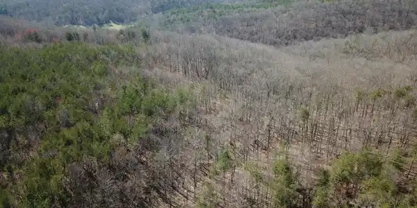 Image 4: DJI_0062