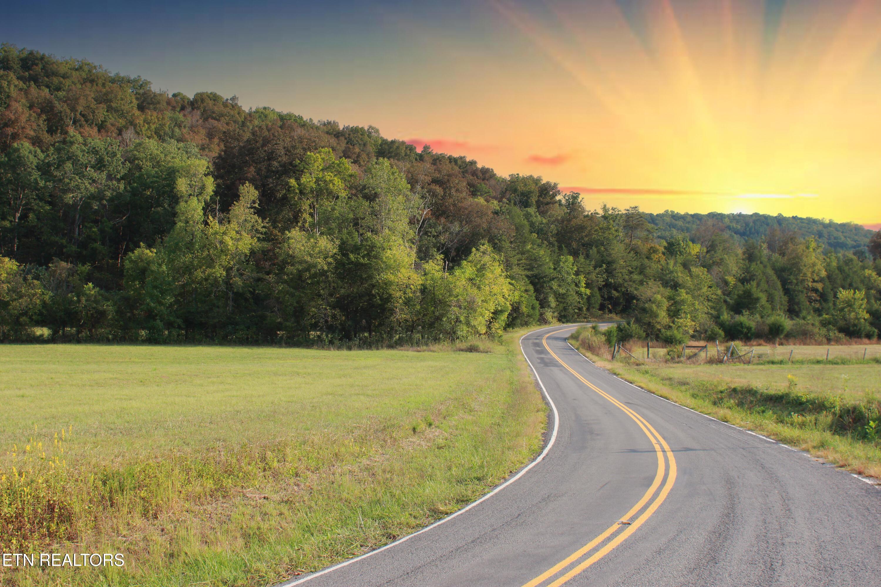 Image 2: IMG_2026final