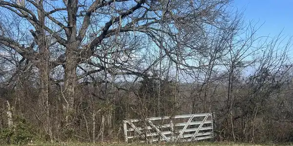 lot 0 Demory Rd