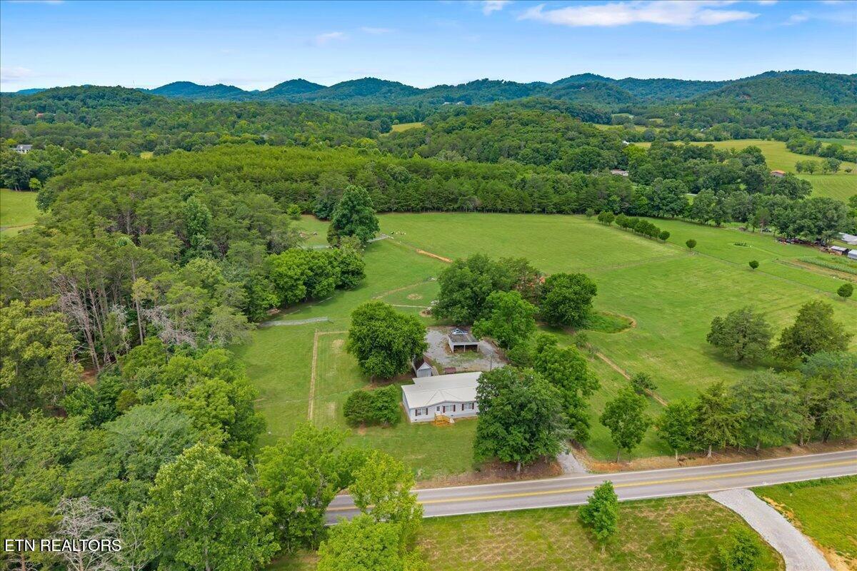 Image 3: 38-1091 Fairview-38