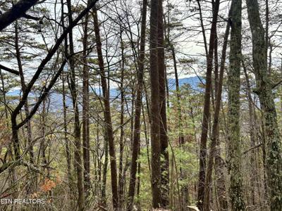 Lot36R Mountain Retreat Rd