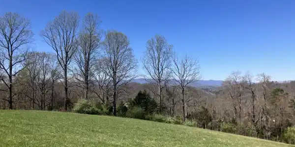 Elkins Valley Rd