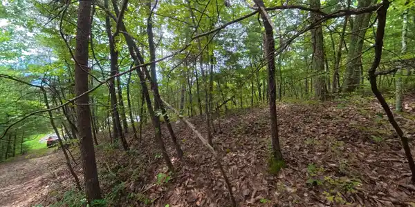Image 4: CAM_20260820121409_0017_D_1787264872697