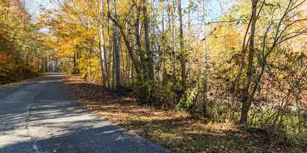 Lot 1 Jones Cove Rd