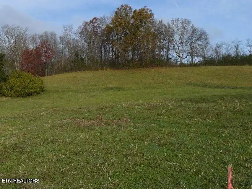Image 1: 107 Henley St. 2