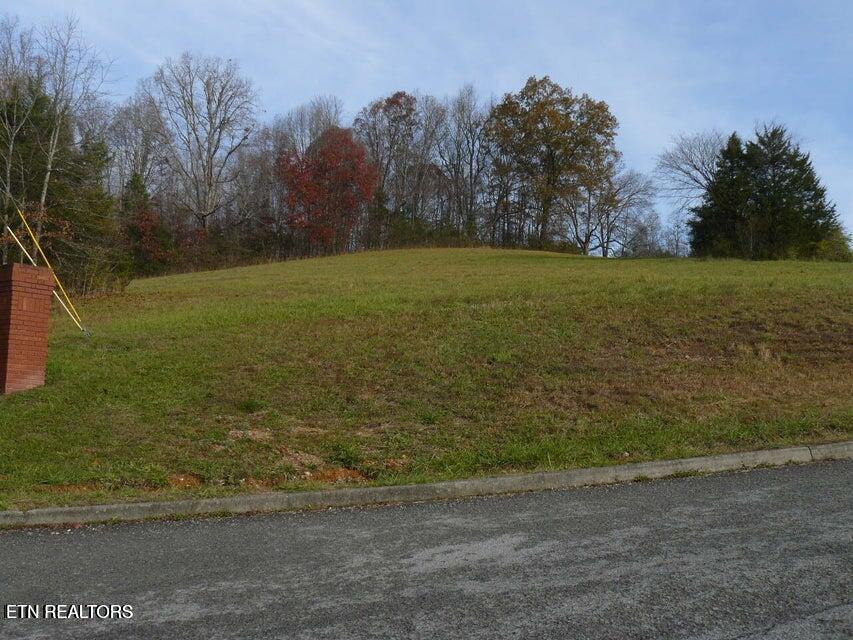 Image 2: 107 Henley St.