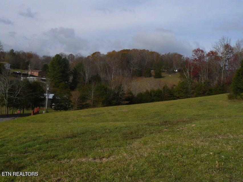 Image 2: 117 Henley St. 2
