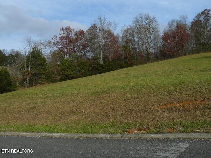 Image 3: 117 Henley St.