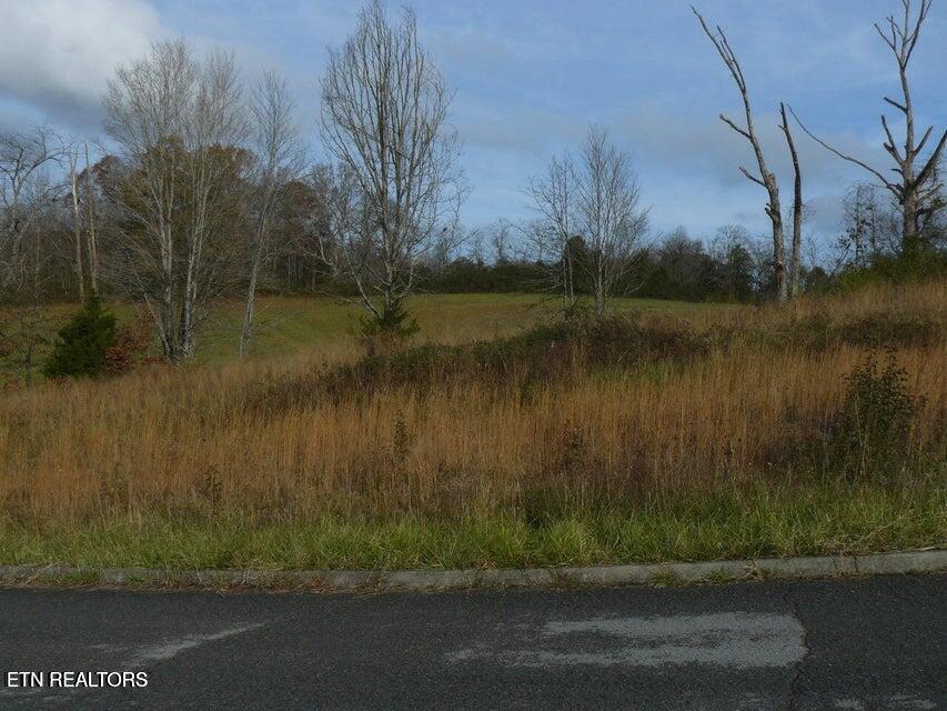 Image 2: 141 Henley St. 2