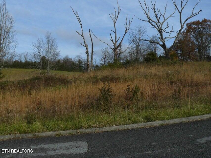 Image 3: 141 Henley St.