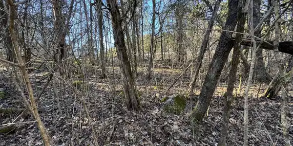 TN-131