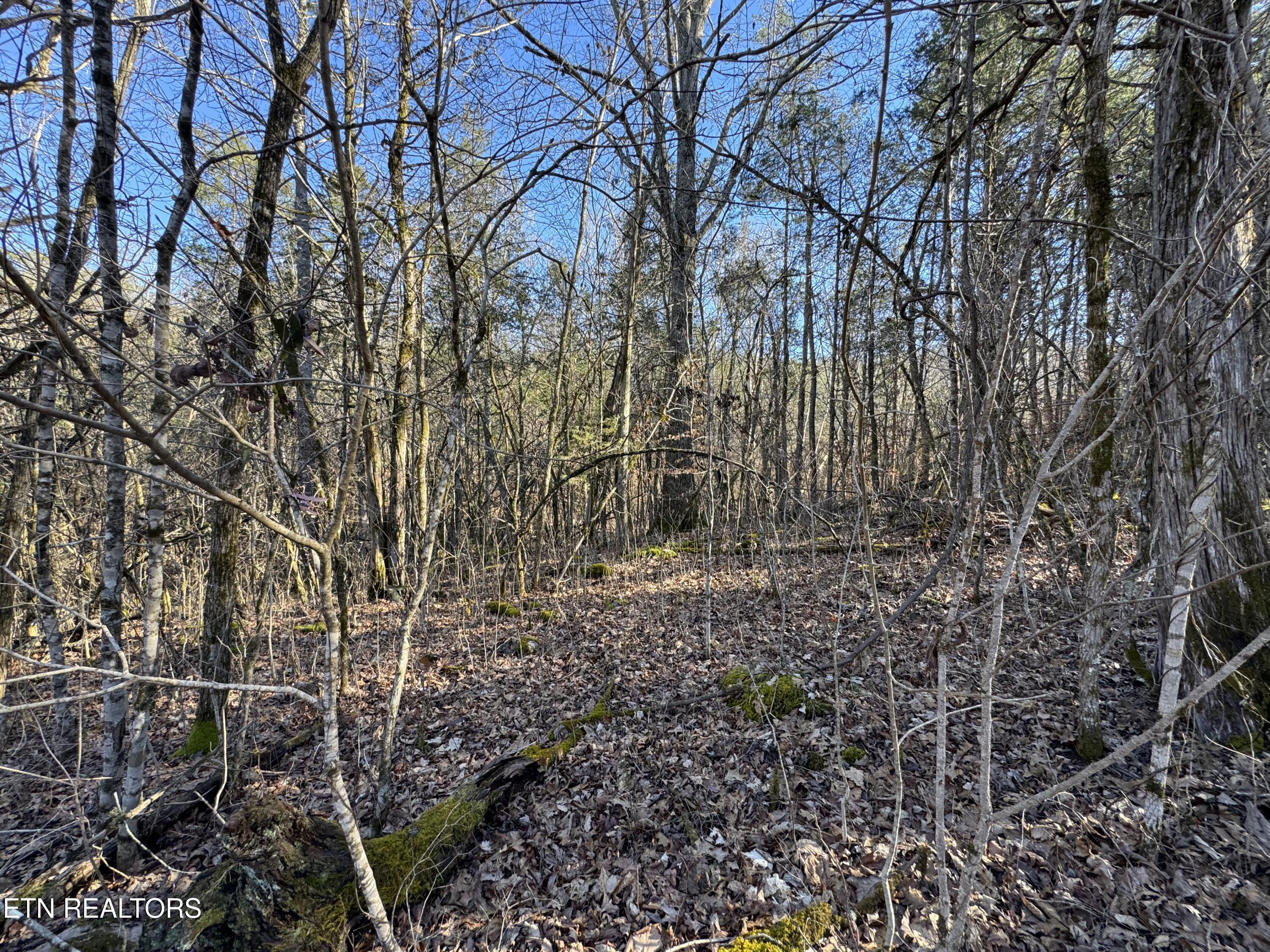 Image 3: IMG_0316