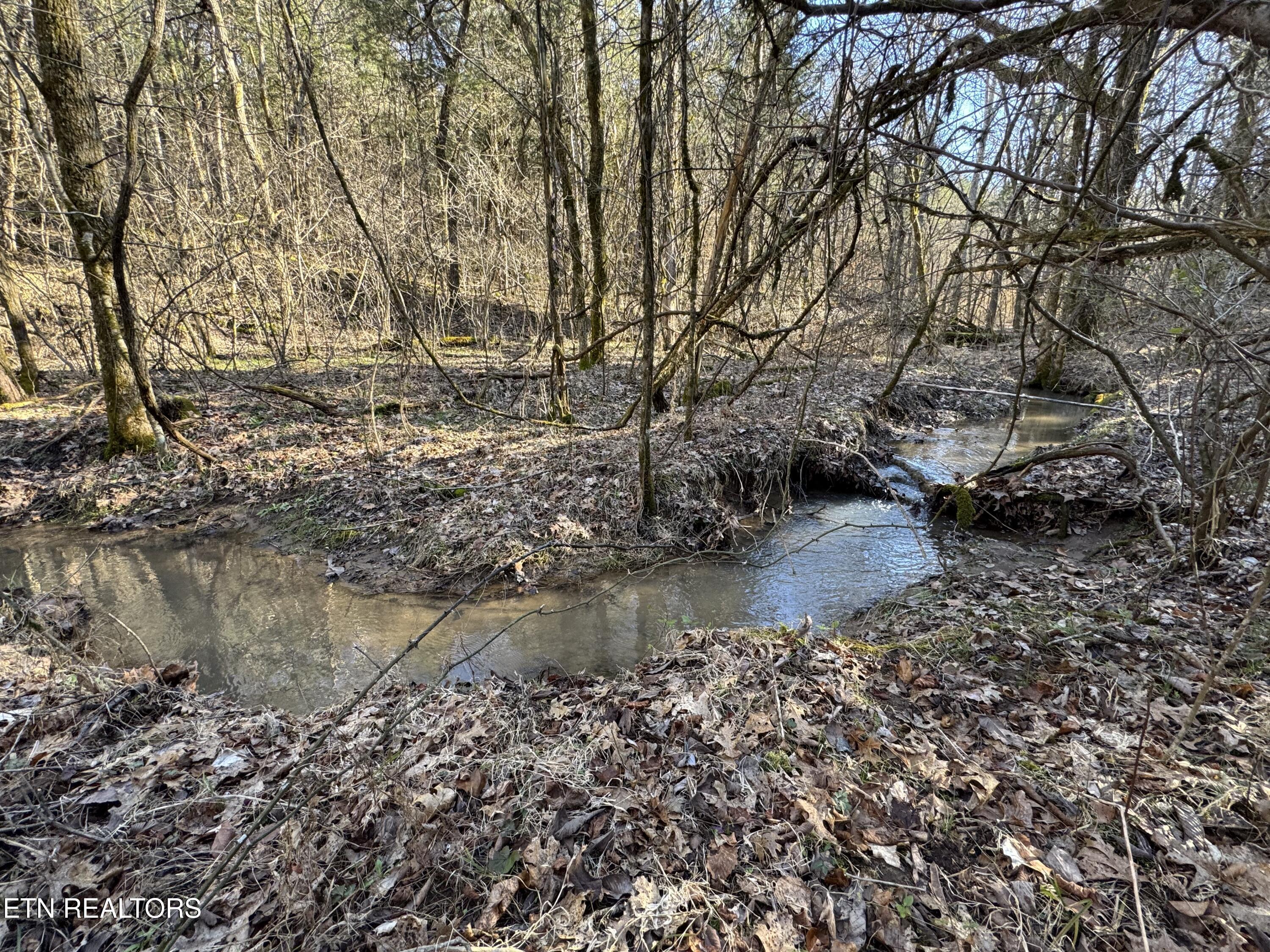 Image 4: IMG_0311