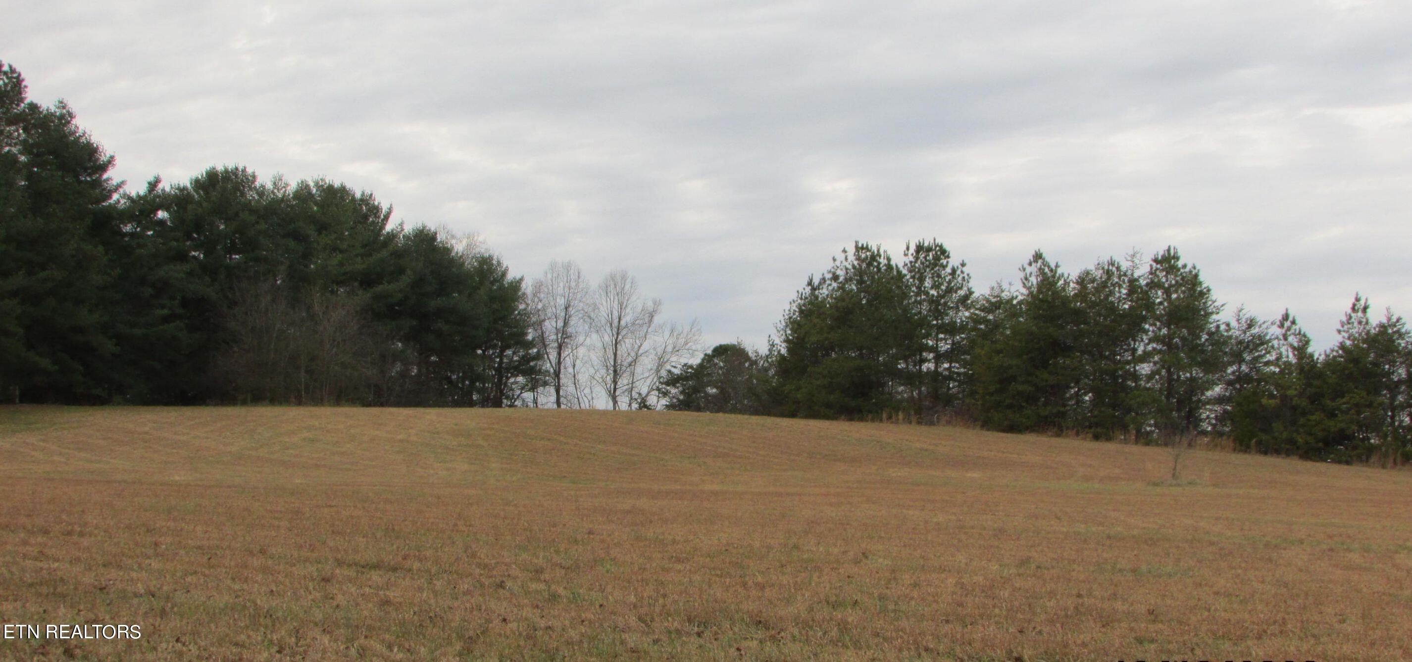 Image 3: 20201221005458742160000000-o (2)