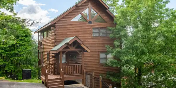 907 Black Bear Cub Way