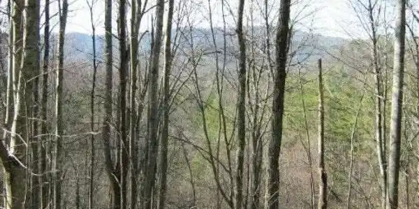 0 Faith Mtn Rd