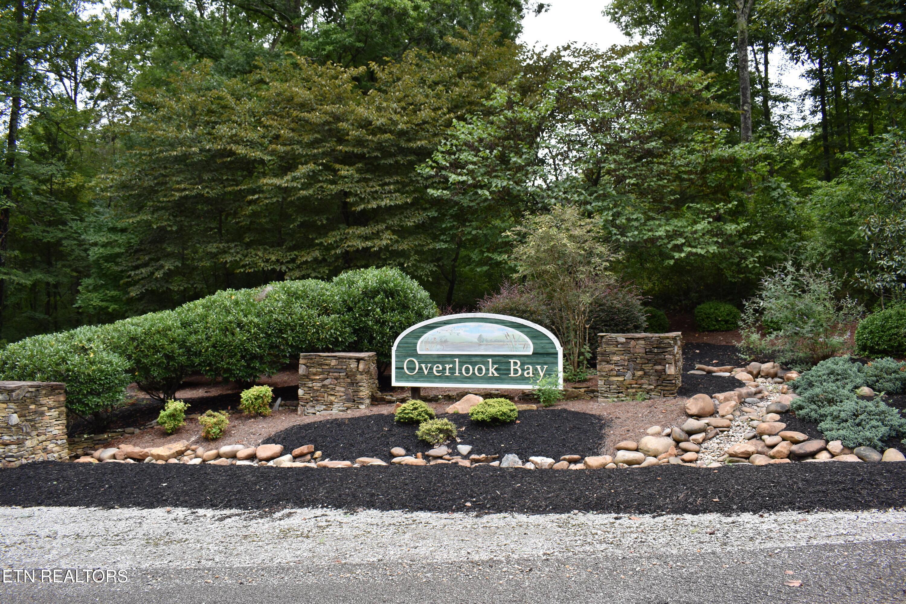 Image 3: DSC_0025