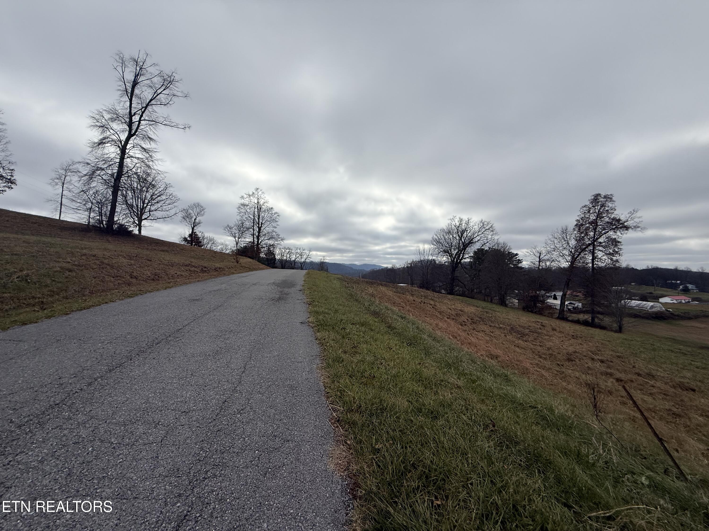 Image 2: IMG_3439