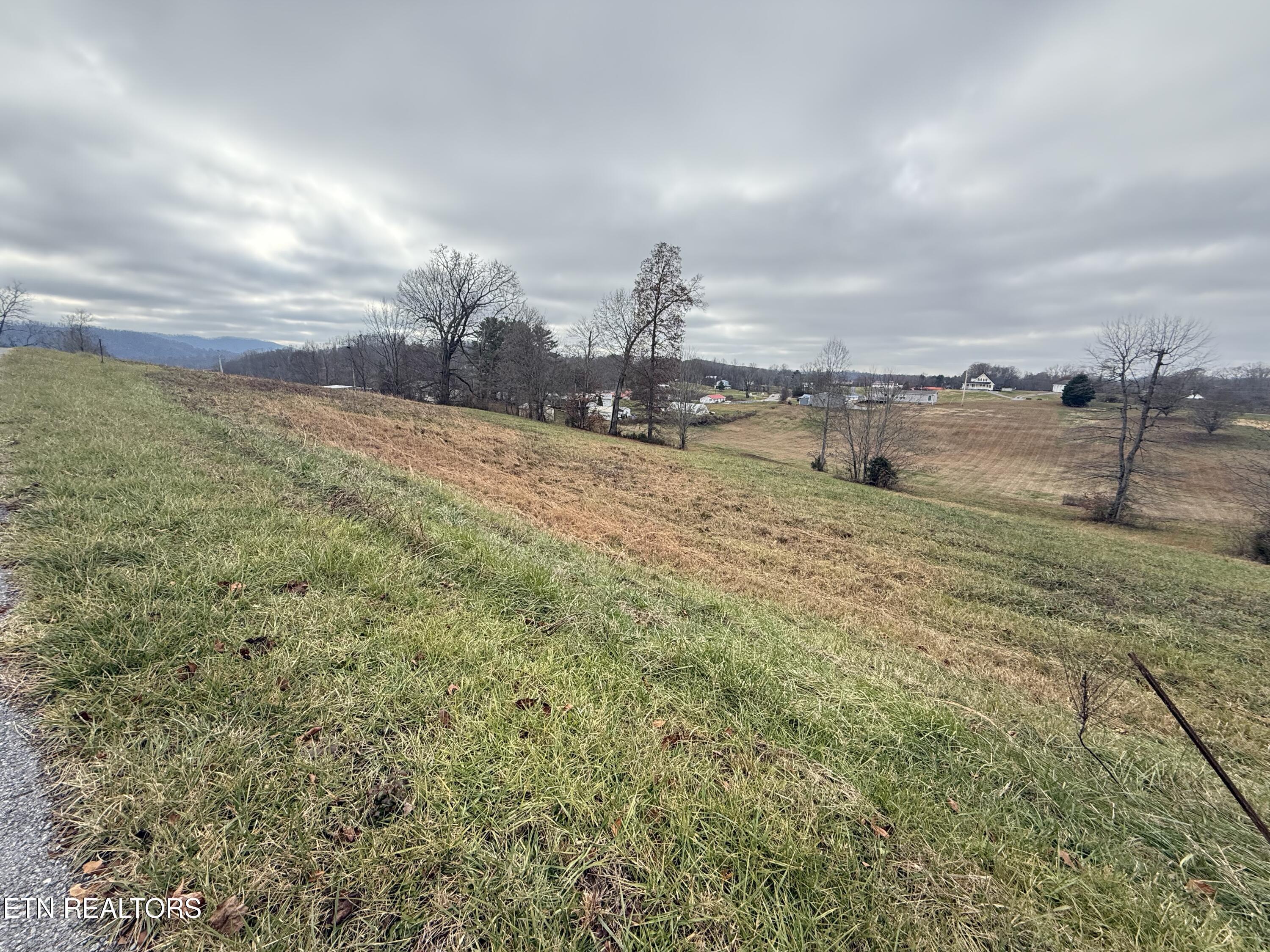 Image 3: IMG_3440