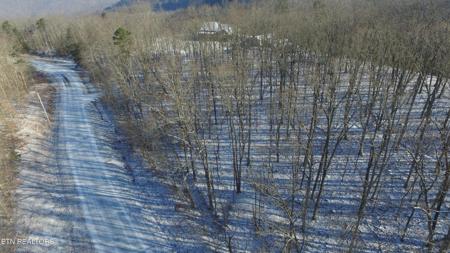 Bear Knob Rd
