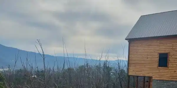 Image 3: Your View, & cabin on lot to the right