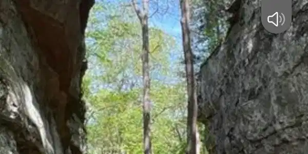 Image 3: 3949647312145255559