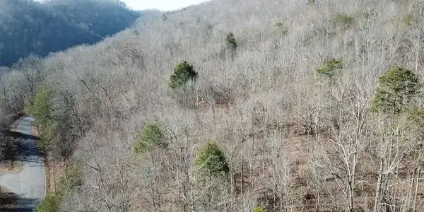 Image 2: 2026-01-08 104756