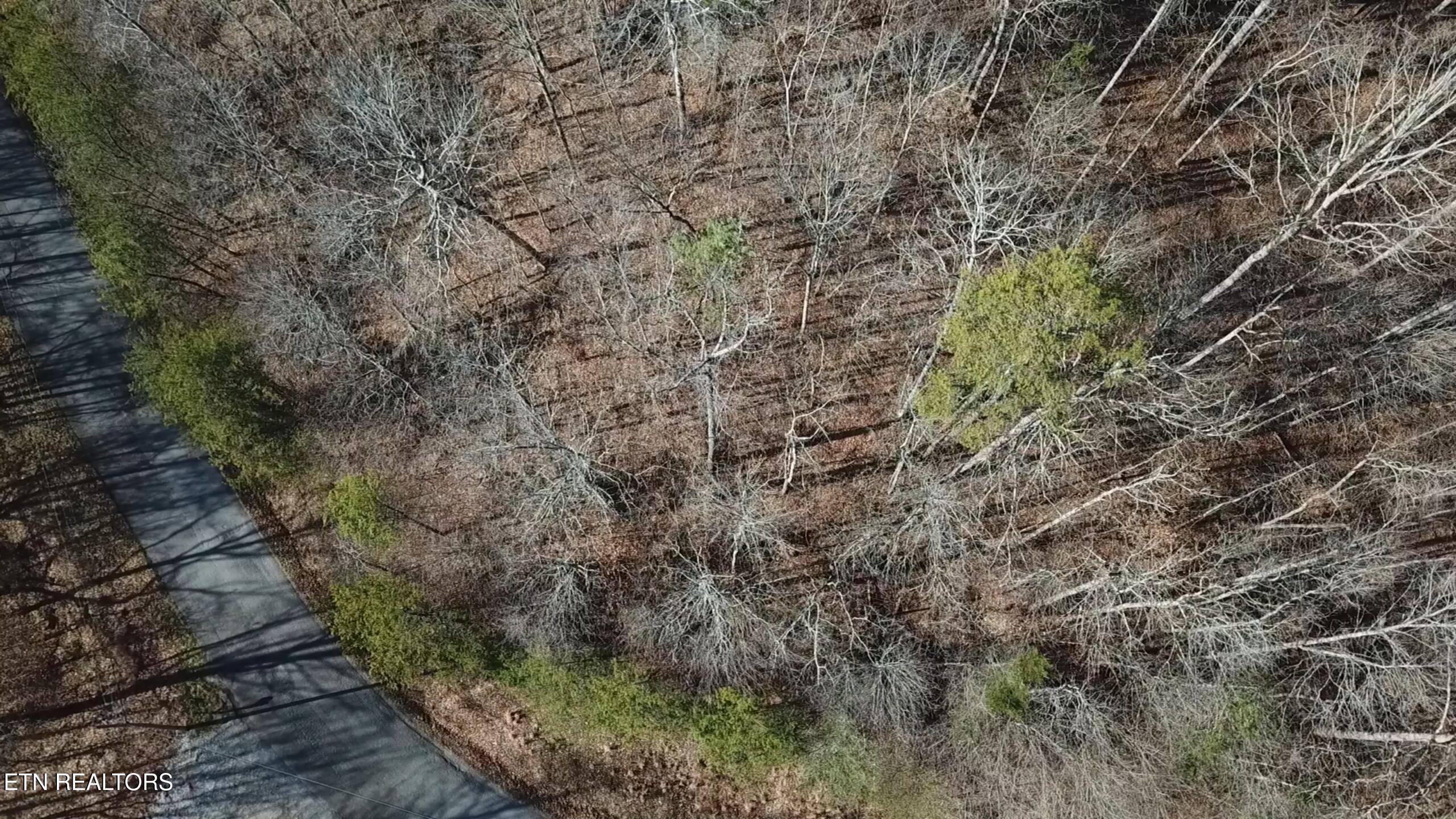 Image 3: 2026-01-08 104822