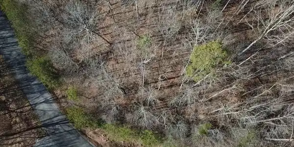 Image 3: 2026-01-08 104822