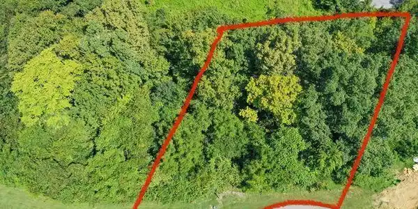 Image 3: Plot map
