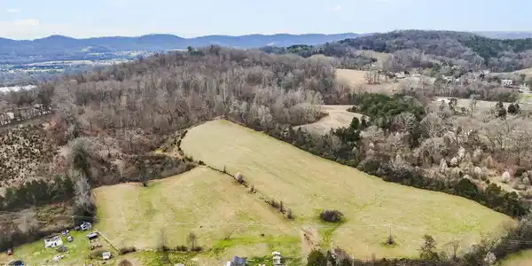 Image 3: 3_dji_20260303103117_0449_d_1