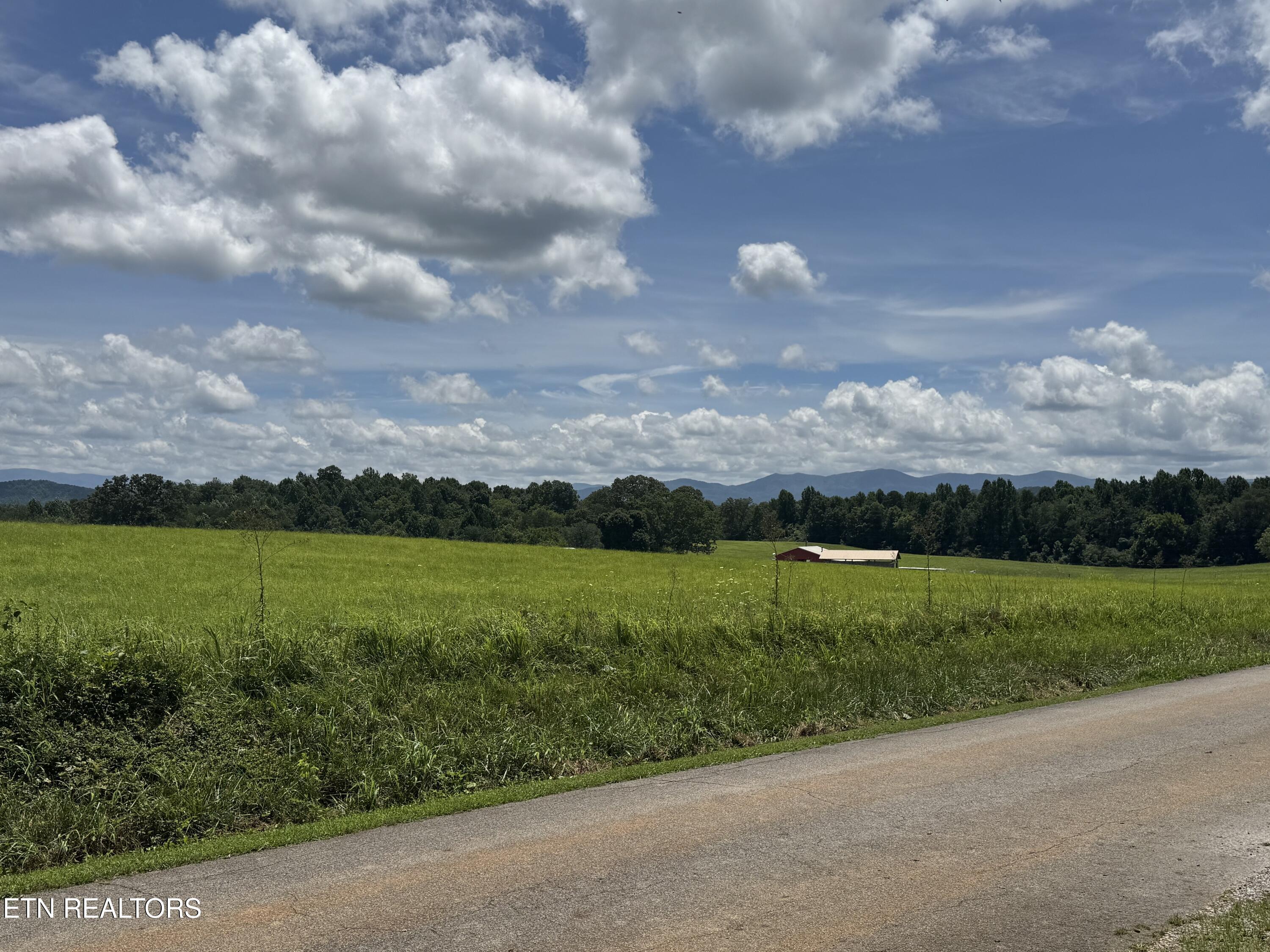 Image 4: IMG_3244
