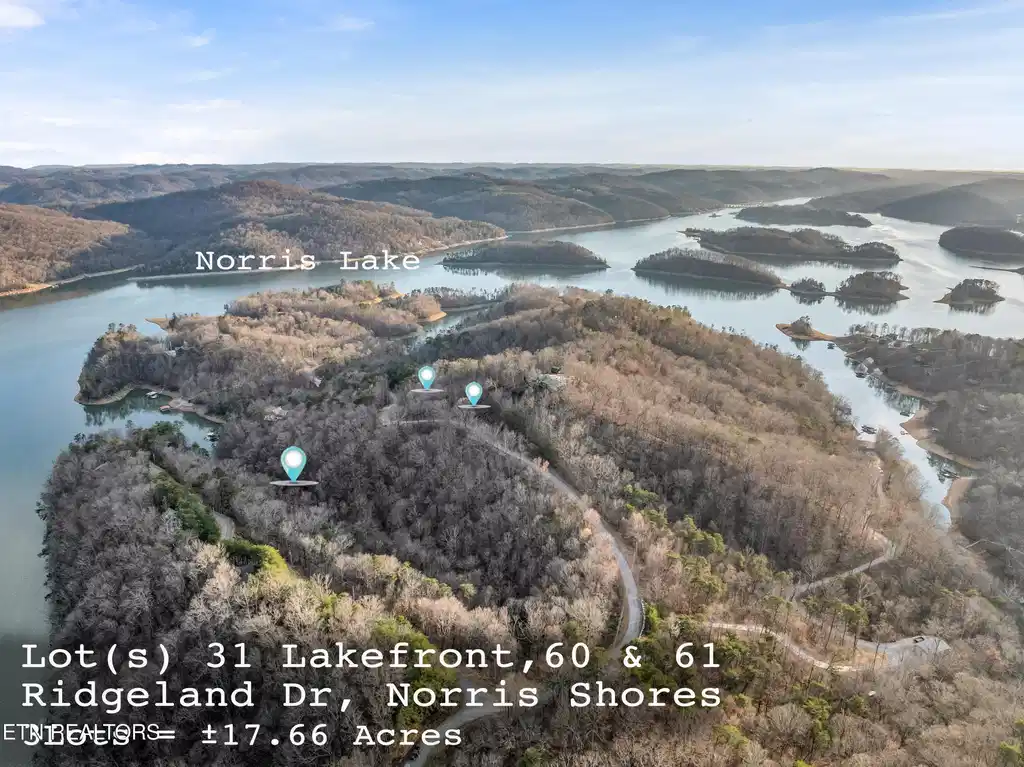 Image 1: L#s 31/60&61 Norris Shores, Norris Lake