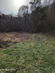 Owens Lane