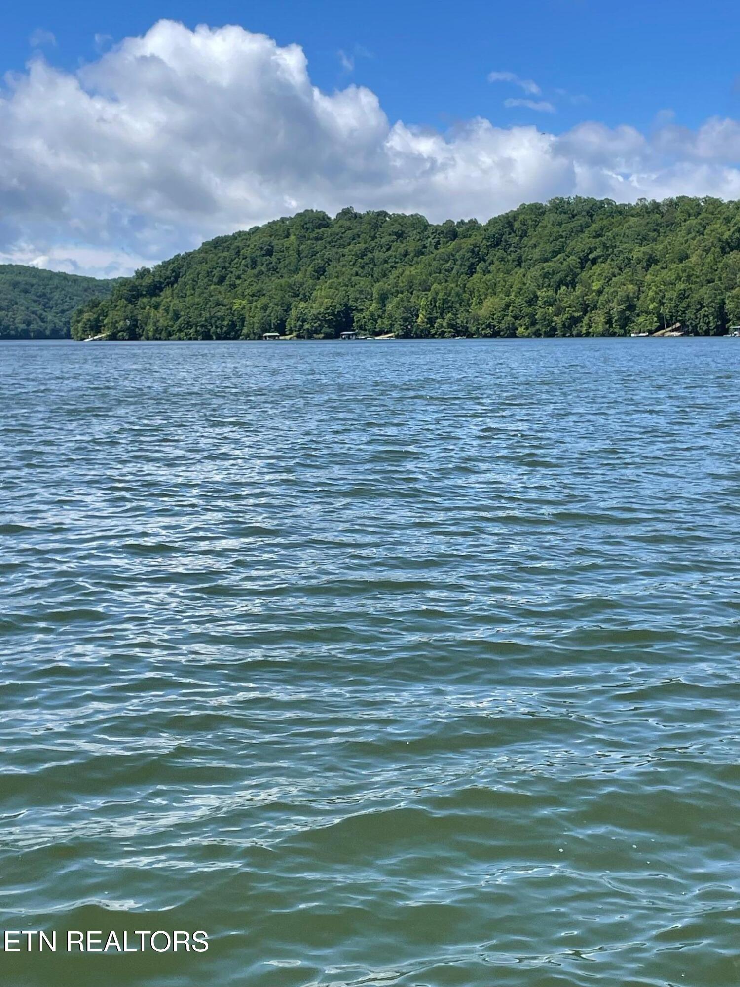 Image 3: Main Channel