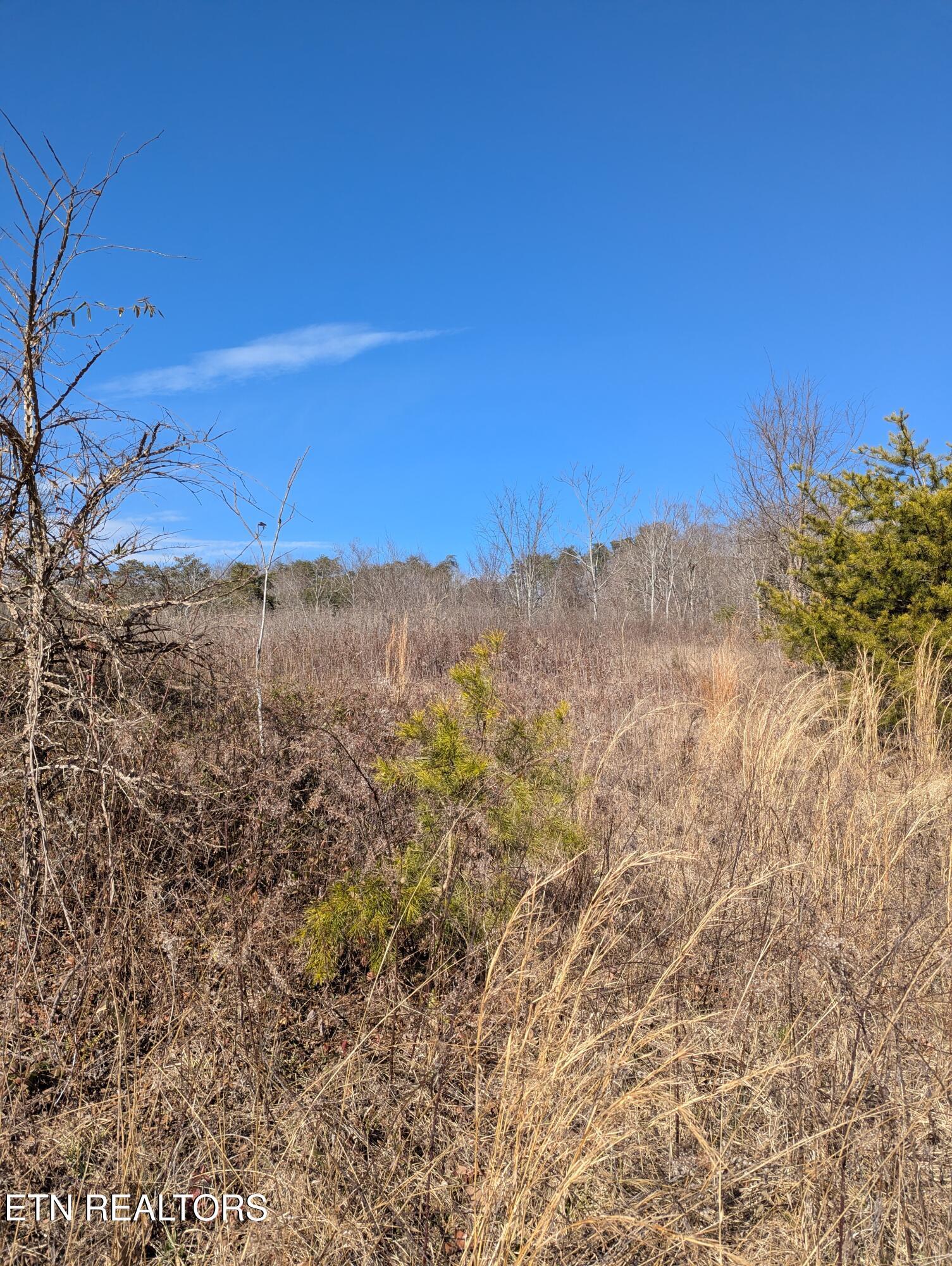 Image 4: PXL_20260121_170552941