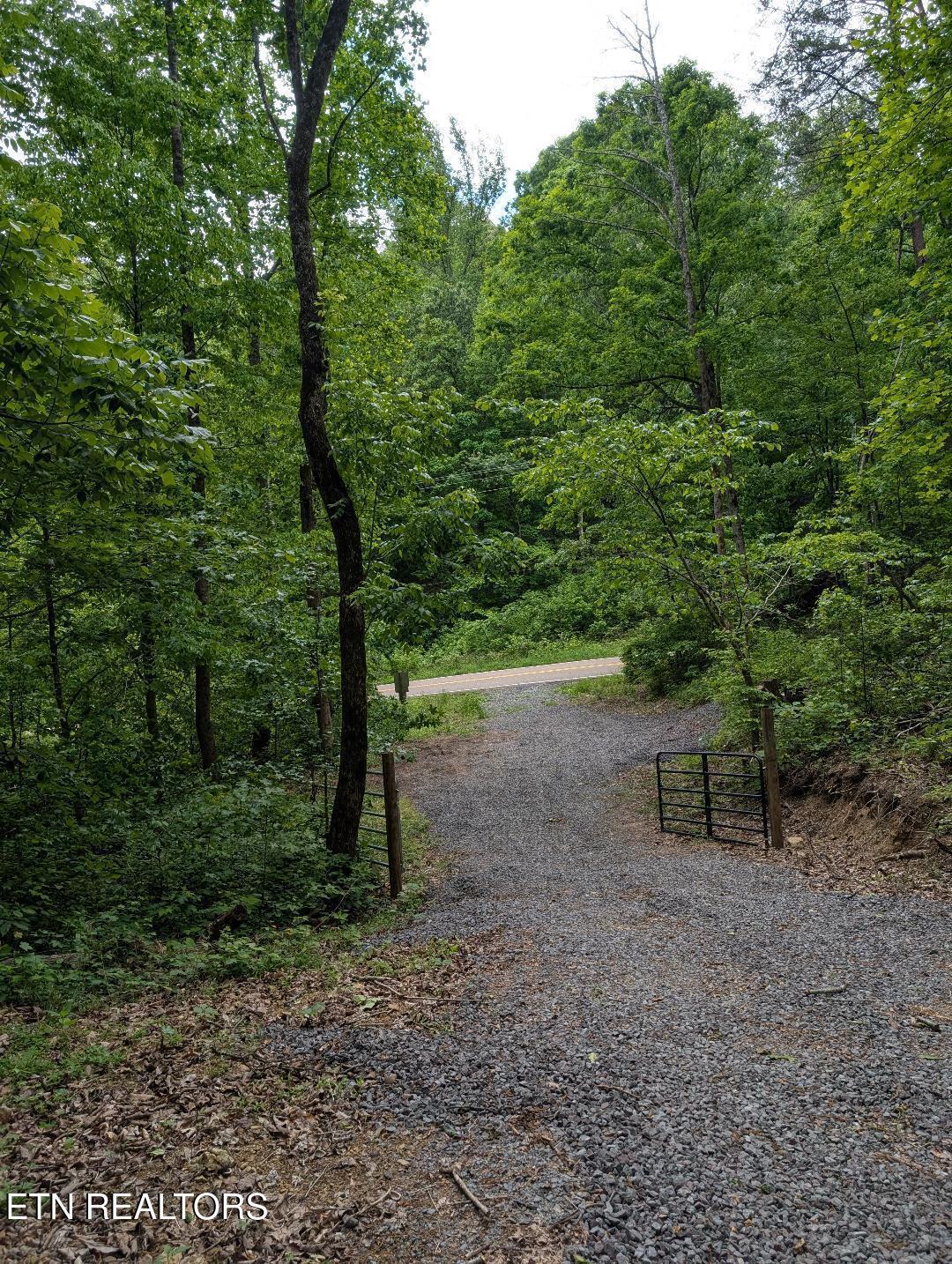 Image 2: Hwy 61 Entrance to road