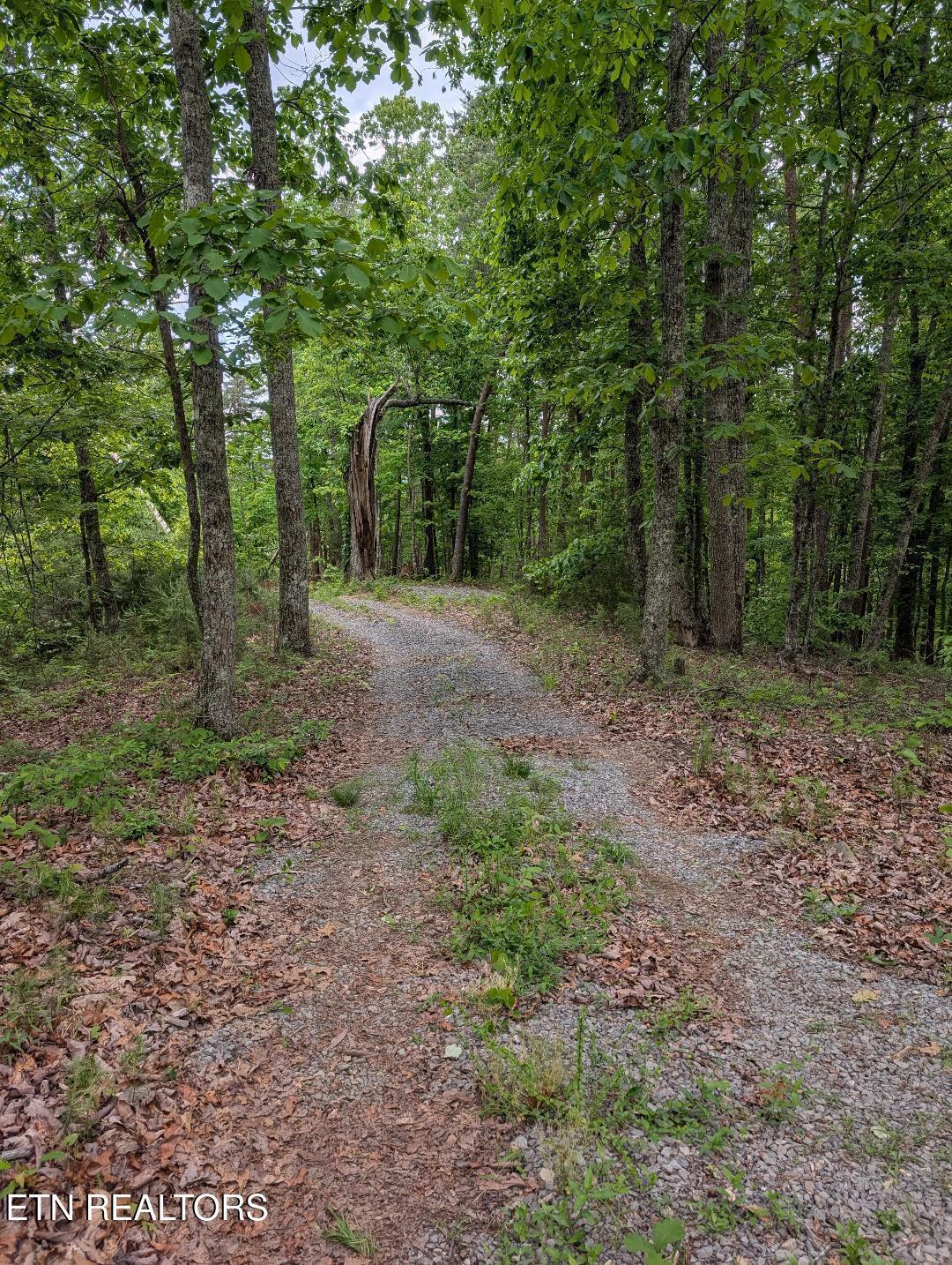 Image 3: Hwy 61 Driveway