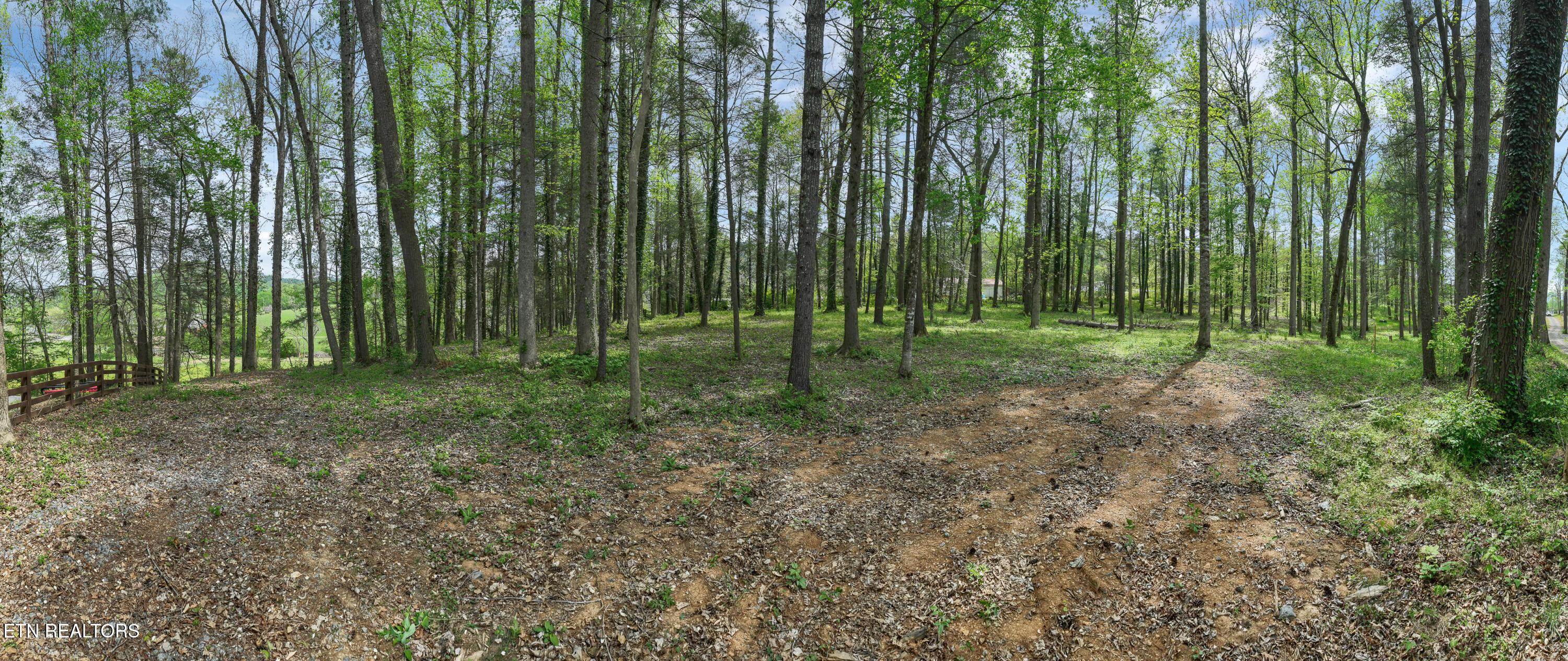 Image 2: DJI_0545