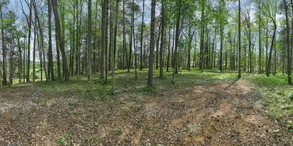 Image 2: DJI_0545