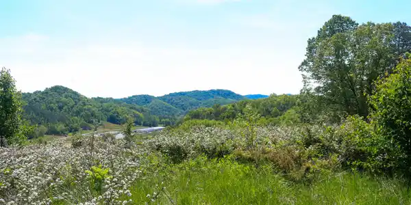 0 Back Valley Rd