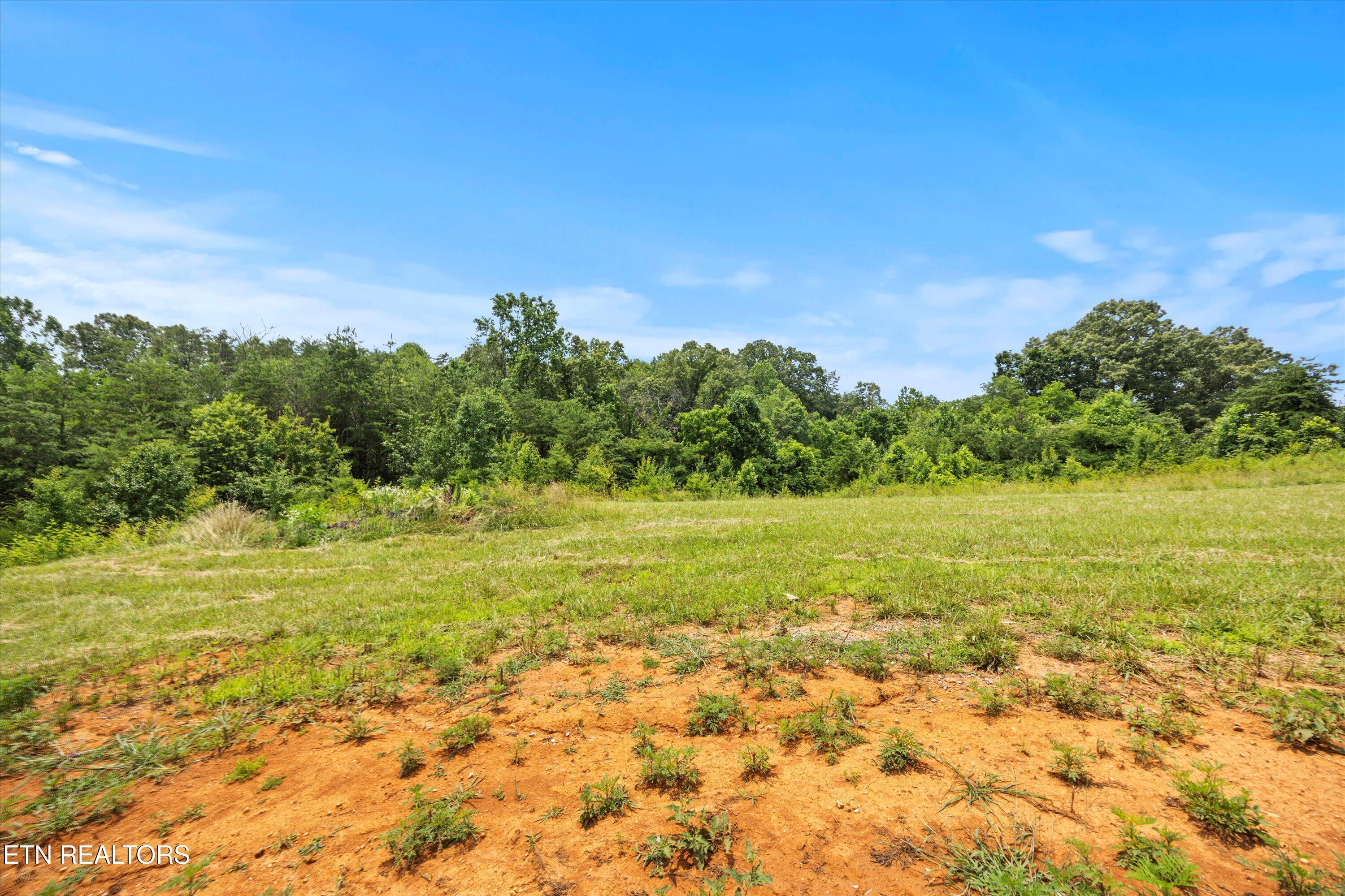 Image 1: 06-Lot_6