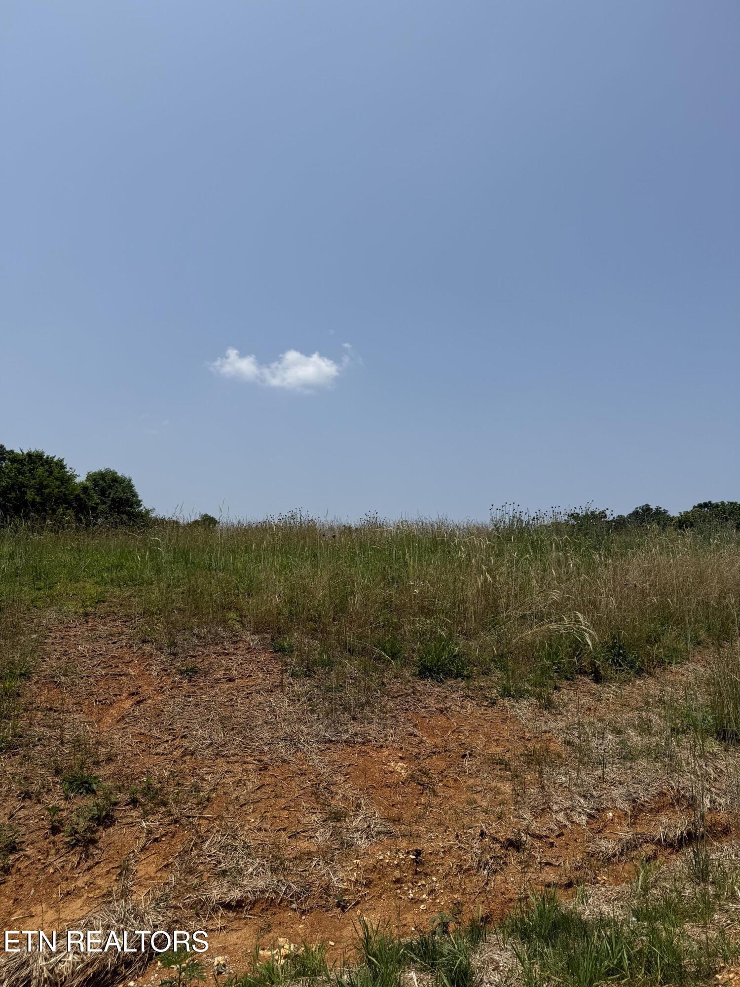 Image 3: The View on Norcross